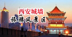 大鸡巴操逼网址中国陕西-西安城墙旅游风景区